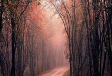 九游体育：时政微视频丨瞰吉林.