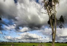 荷甲球隊介紹：PSV埃因霍溫 荷蘭足球三強之一！世界級前鋒必經之地！.